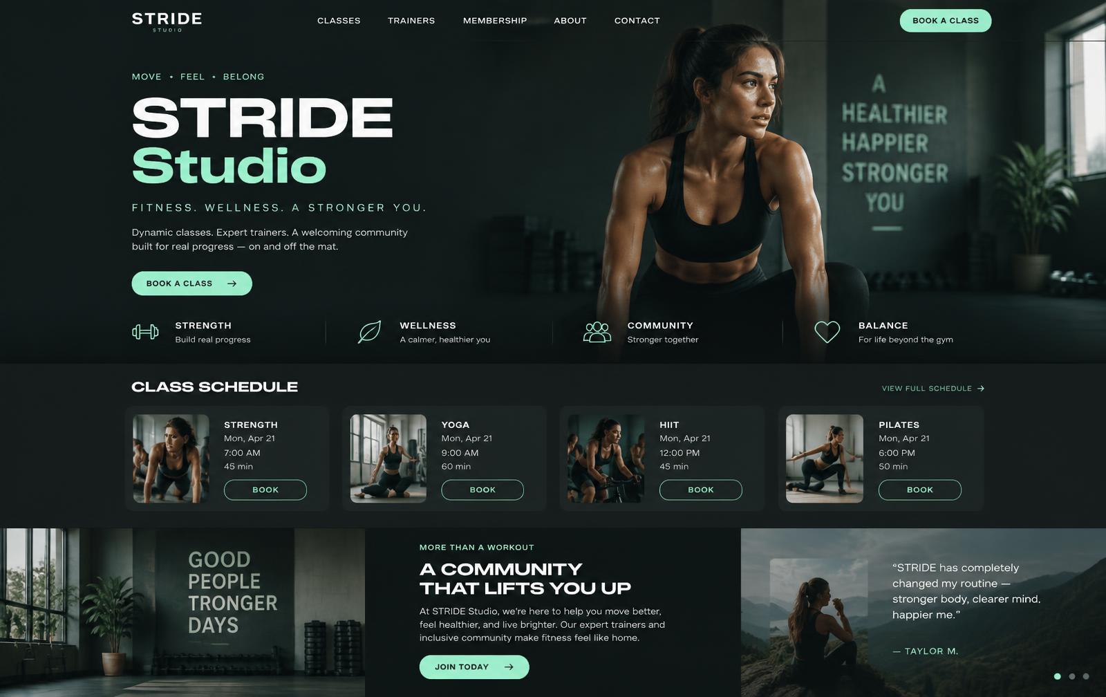 Demo fitness studio website preview